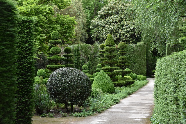 Dartmouth Landscaping Localturf | 9 Roblea Dr, Dartmouth, NS B2W 1Y6, Canada | Phone: (902) 702-3092