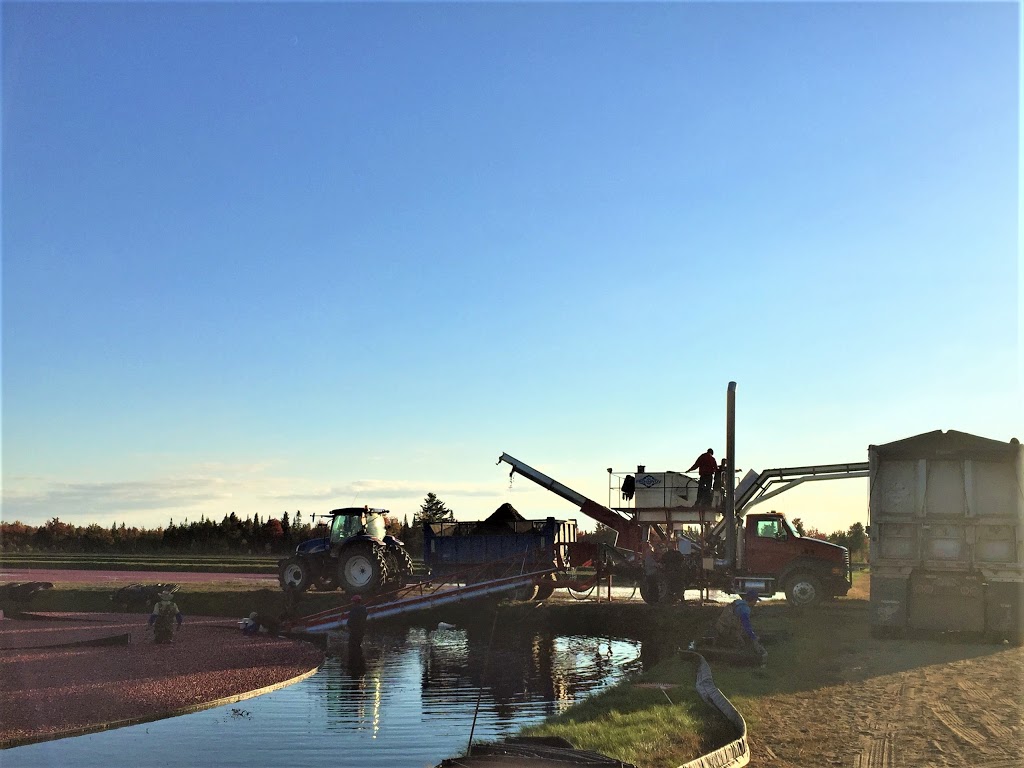 Pro-Innov | 2600 Rue de la Coopérative, Plessisville, QC G6L 3E6, Canada | Phone: (819) 362-6048