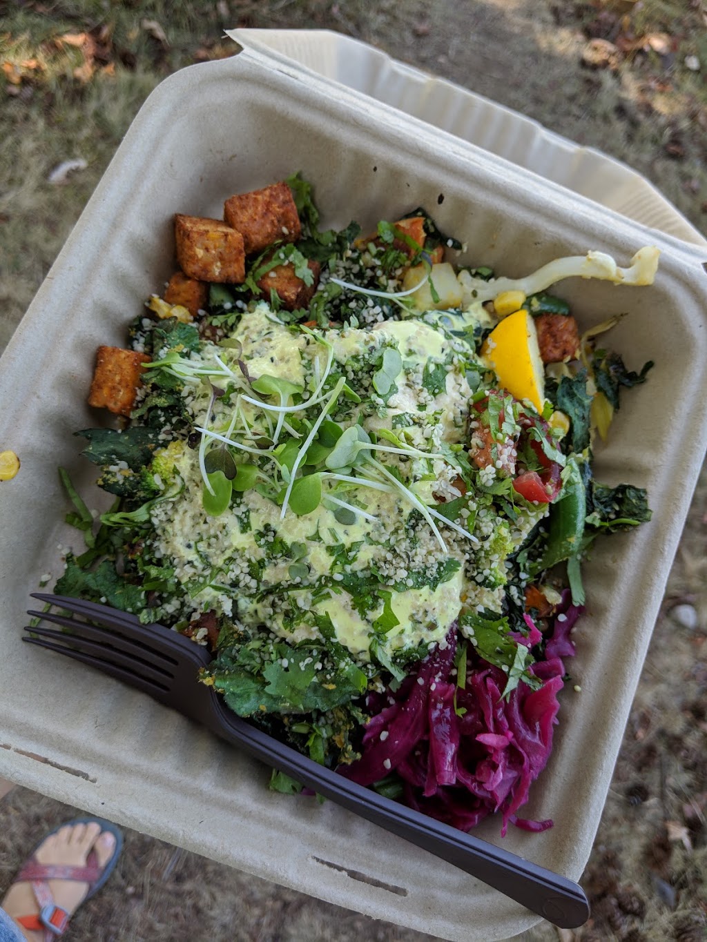 Wild Island Restaurant | 18 Urner St, Eastsound, WA 98245, USA | Phone: (360) 298-3404