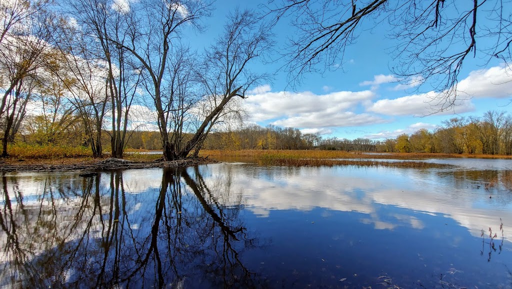 HR Frink Conservation Area and Outdoor Education Centre | 381 Thrasher Rd, Plainfield, ON K0K 2V0, Canada | Phone: (613) 968-3434
