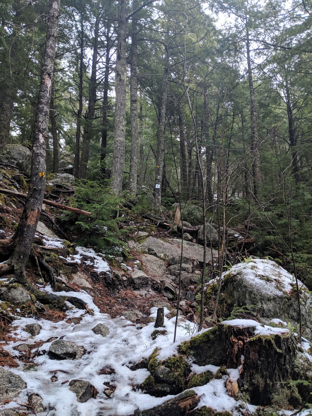 Gibraltar Rock Loop Trailhead | NS-357, Halifax, NS B0J 1N0, Canada