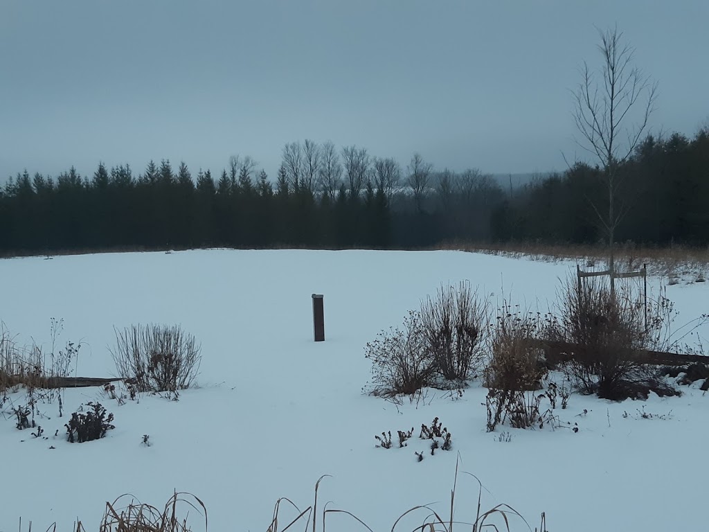Breathe Easy Cottage | 214838 Baseline, West Grey, ON N0G, Canada | Phone: (519) 369-2783