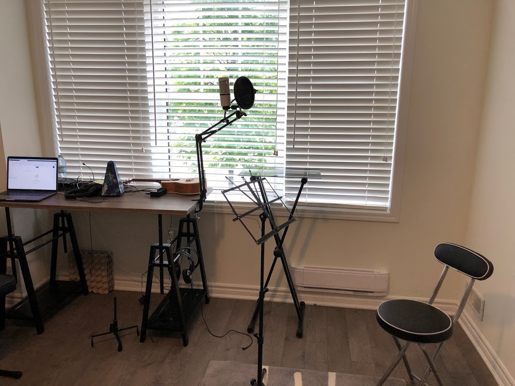 Voice and Music | 155 Ludolph St, Kitchener, ON N2R 0L9, Canada | Phone: (647) 881-6006