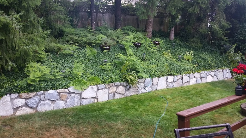 The Rock Man | 33157 Tunbridge Ave, Mission, BC V2V 6X9, Canada | Phone: (778) 808-5718
