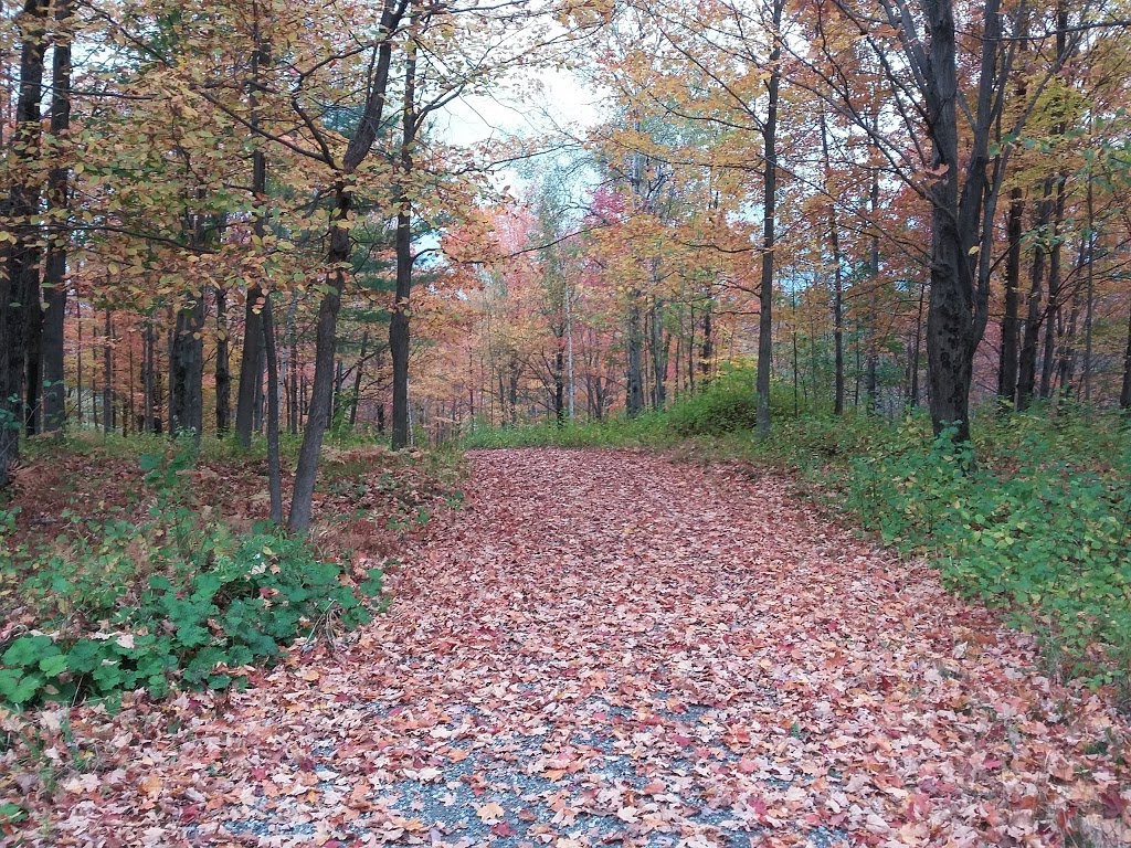 Parc Gouin | 810 Montée du Parc, Richmond, QC J0B 2H0, Canada