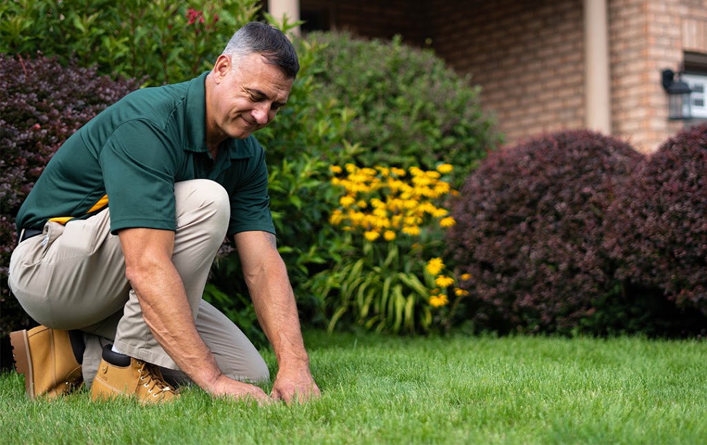 Weed Man Lawn Care | 782 Blessington Rd, Corbyville, ON K0K 1V0, Canada | Phone: (613) 962-2210