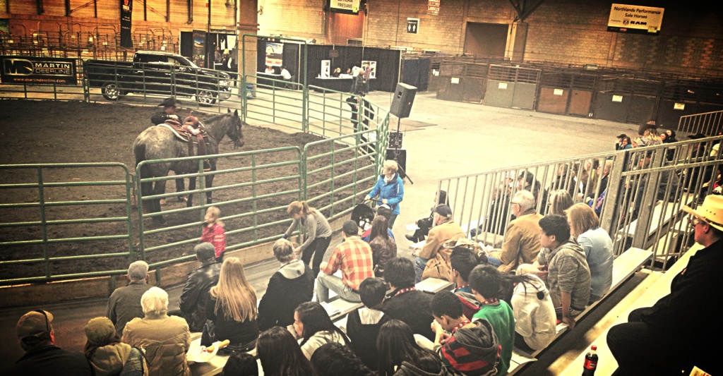 Dustin Grams All Around Horsemanship | Rolly View, AB T4X 0Z4, Canada | Phone: (780) 980-3436