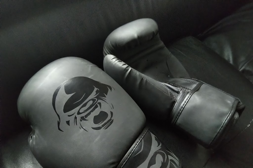 Gorilla Fight Gear | 94 Sand Point Bay, Winnipeg, MB R3W 1K2, Canada | Phone: (855) 218-9995