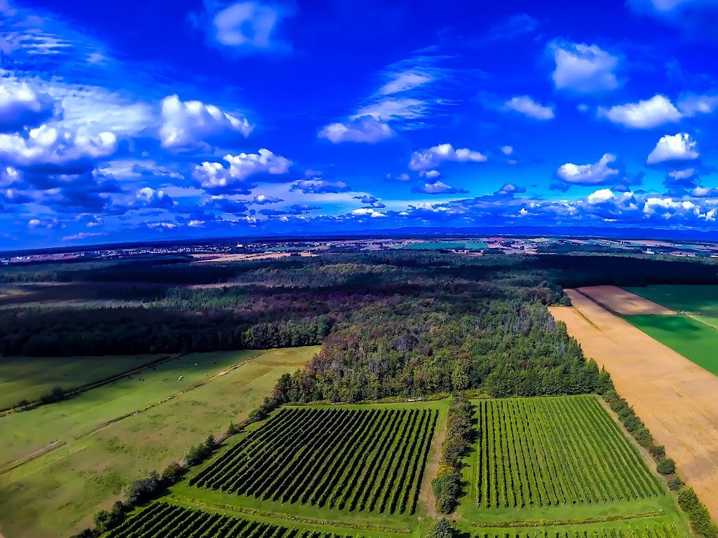 Vignoble Domaine Bel-Chas | 7119 Rang de lHêtrière E, Saint-Charles-de-Bellechasse, QC G0R 2T0, Canada | Phone: (418) 887-1311