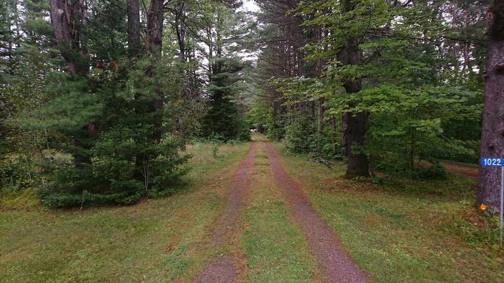 Noble Motel | 1164 Moore Lake Estates Rd, Norland, ON K0M 2L0, Canada | Phone: (705) 454-8298