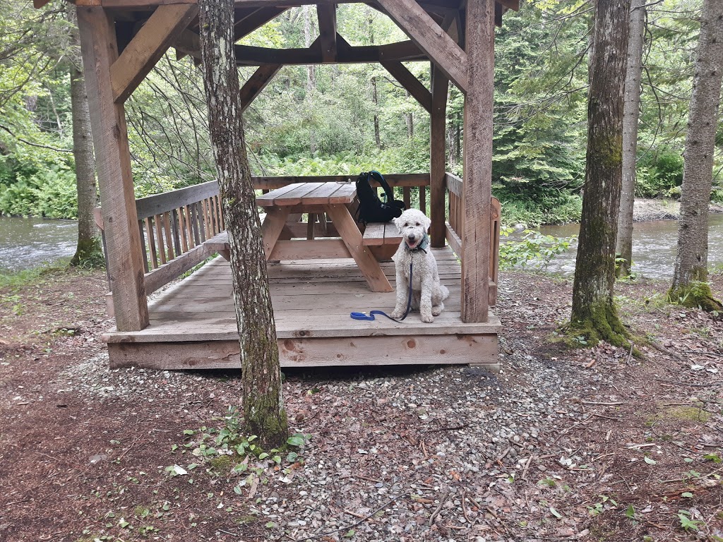 Parc régional des Grandes-Coulées | 2 Route du Plé, Plessisville, QC G0S 1T0, Canada | Phone: (819) 621-1333