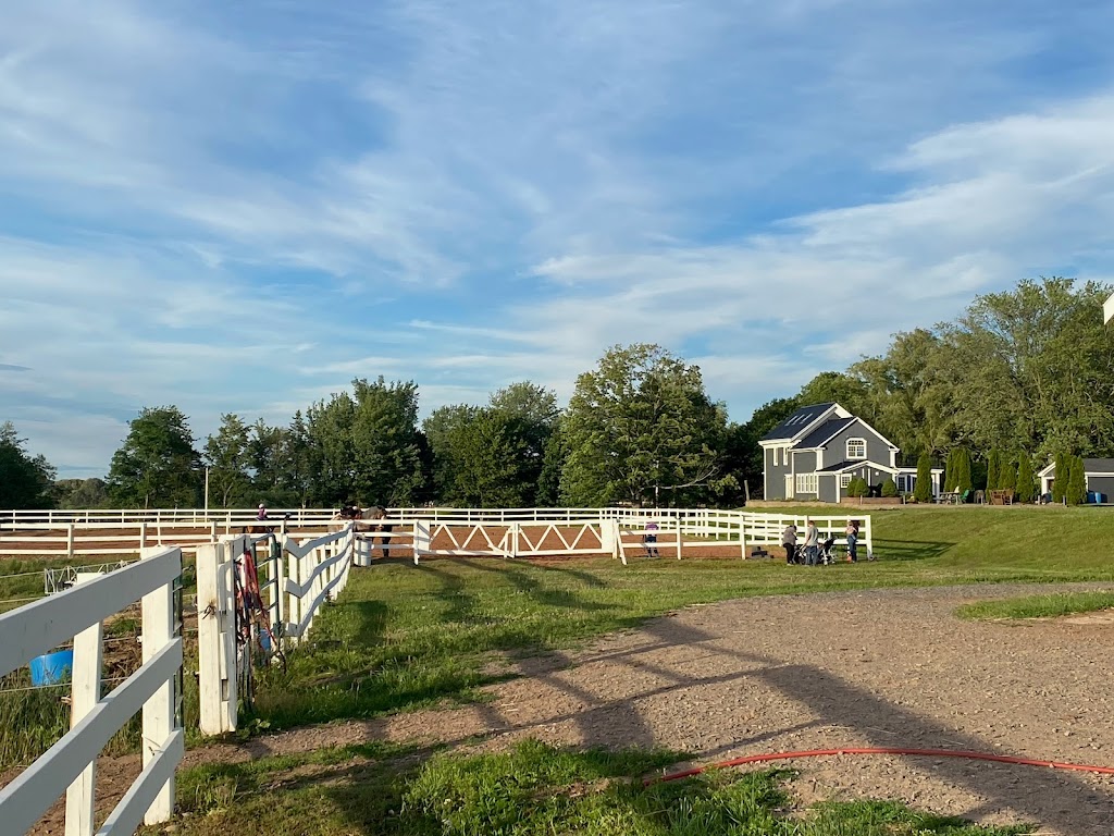 Willow & Withers Stables | 1575 Middle Dyke Rd, Centreville, NS B0P 1J0, Canada | Phone: (902) 483-4811