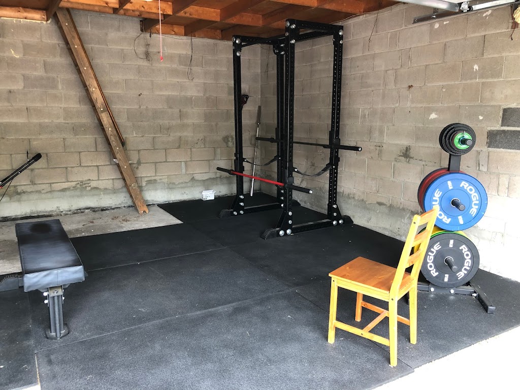 Ali Zokaees Gym | 262 Moore Park Ave, North York, ON M2M 1N6, Canada | Phone: (416) 830-0190