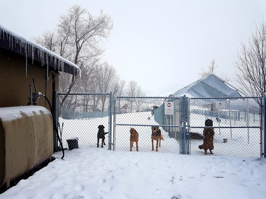 Hy Country Pet Resort 808 Mission Rd, Vernon, BC V1H 1G2, Canada