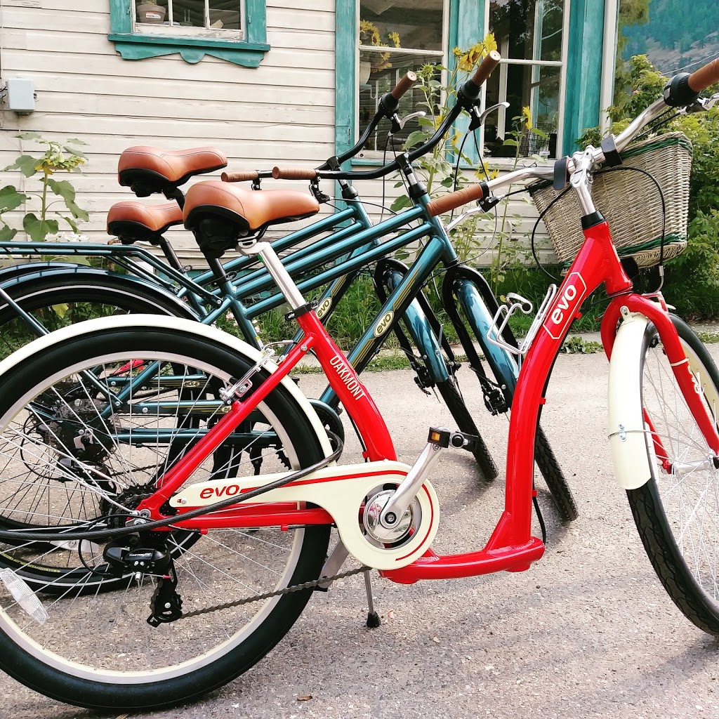 Sunflower Bicycle Repair | 838 Shuswap Ave, Chase, BC V0E 1M0, Canada | Phone: (778) 220-6709