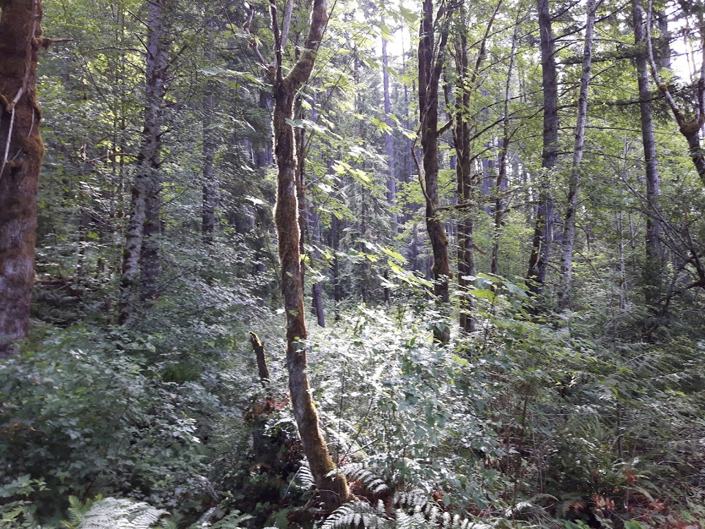 Alberni Inlet Trailhead | British Columbia V0R 1G0, Canada | Phone: (250) 723-2146