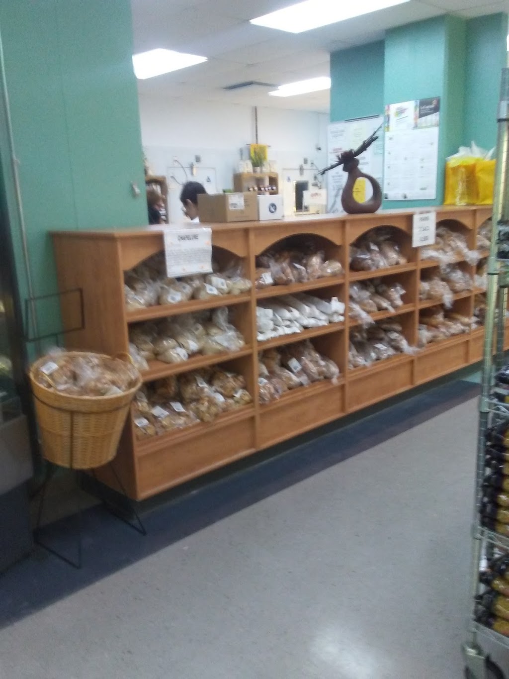 Calixa Lavallée Secondary School | 11411 Avenue Pelletier, Montréal-Nord, QC H1H 3J3, Canada | Phone: (514) 328-3250