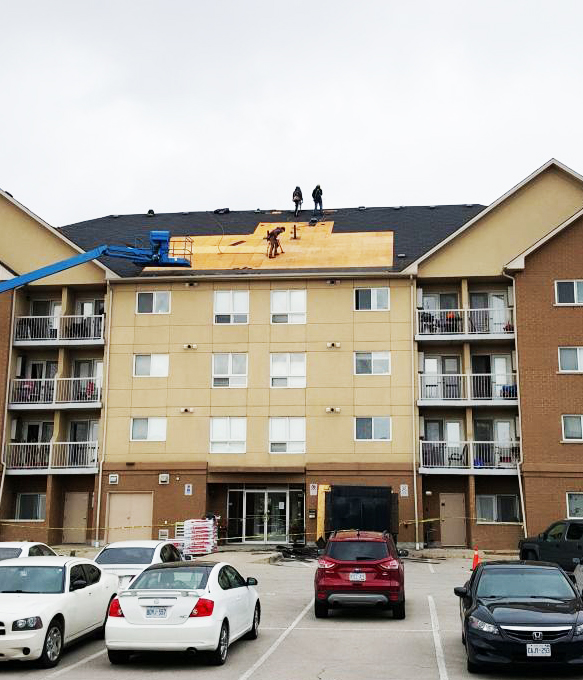 EGH Evergreen Holdings | 3339-A Mainway Drive, Burlington, ON L7M 1A6, Canada | Phone: (905) 335-3035