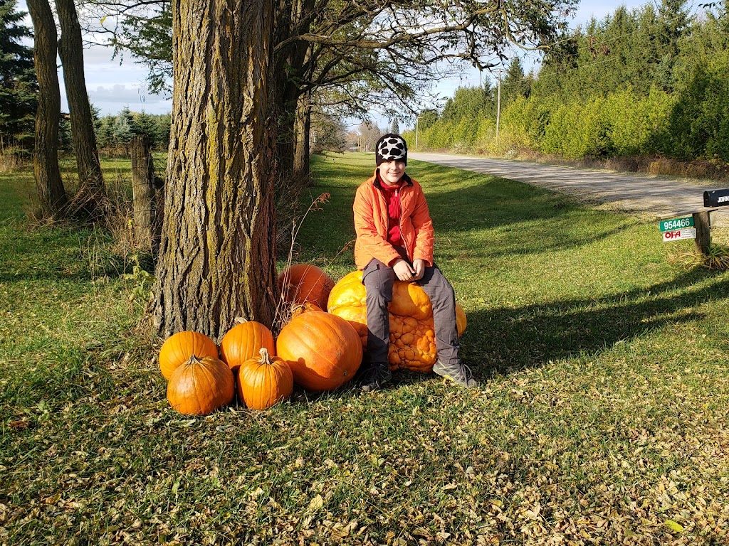 Cricket Creek Farm | 954466 7 Line E, Mono, ON L9W 6G1, Canada | Phone: (519) 938-1604