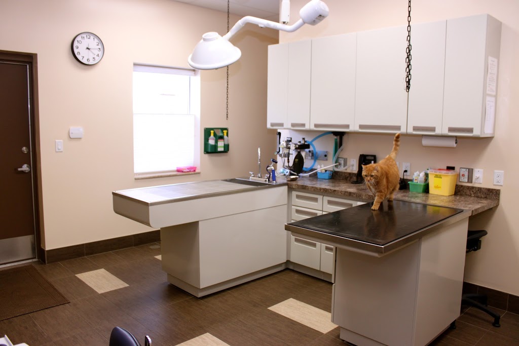 LaSalle Animal Hospital | 1391 Front Rd, Windsor, ON N9J 2A9, Canada | Phone: (519) 734-1300