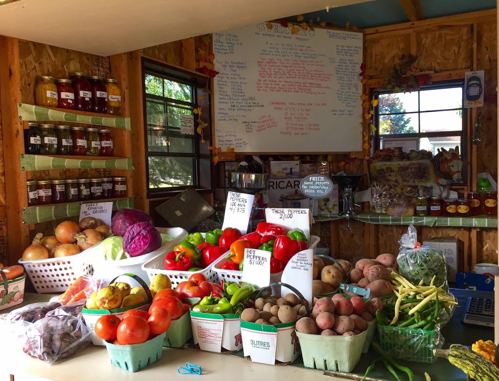 Countryside Values | Kincardine, ON N0G 2R0, Canada | Phone: (519) 395-3593