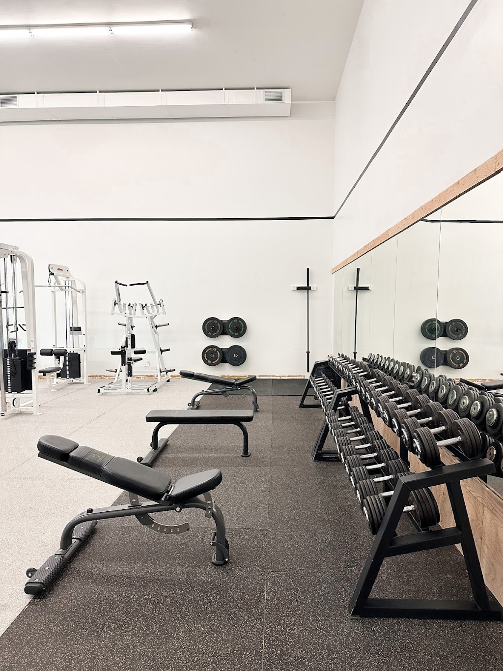 Diverse Natural Athletics | 76 Howard Ave Unit 1, Elmira, ON N3B 2E1, Canada | Phone: (226) 505-8846