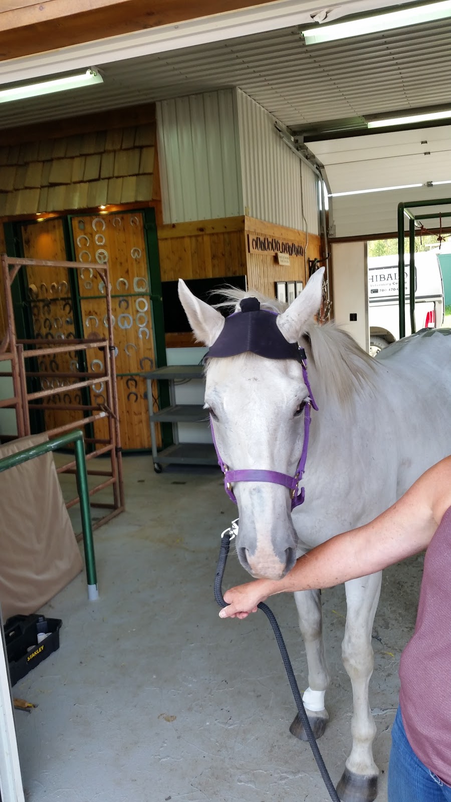 Canadian Forge & Farrier Supply | 51424 AB-60, Spruce Grove, AB T7Y 1C8, Canada | Phone: (888) 470-0010