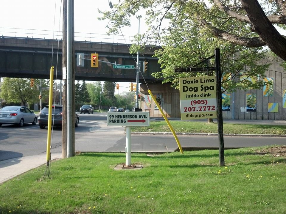 Doxie Limo Dog Spa | 99 Henderson Ave, Thornhill, ON L3T 2K9, Canada | Phone: (905) 707-7772