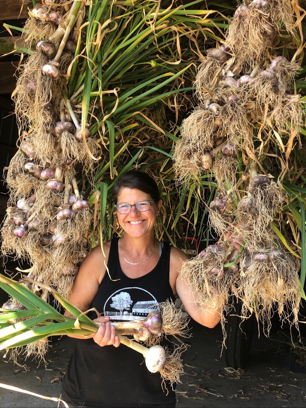 Bradner Hills Farm - Garlic | 6323 Bradner Rd, Abbotsford, BC V4X 2C7, Canada | Phone: (604) 831-6852