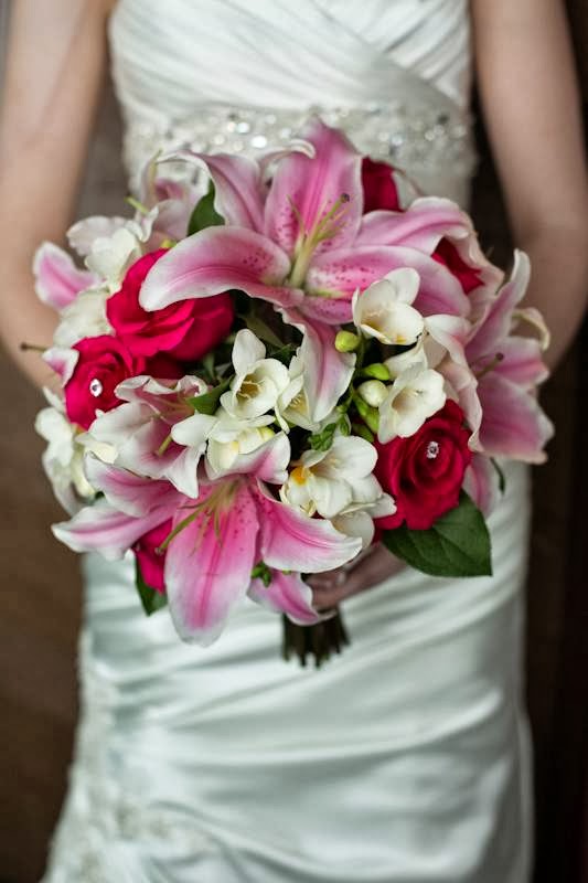 Blair J Photography | 32 Sage Pl, Oakbank, MB R0E 1J1, Canada | Phone: (204) 996-4324