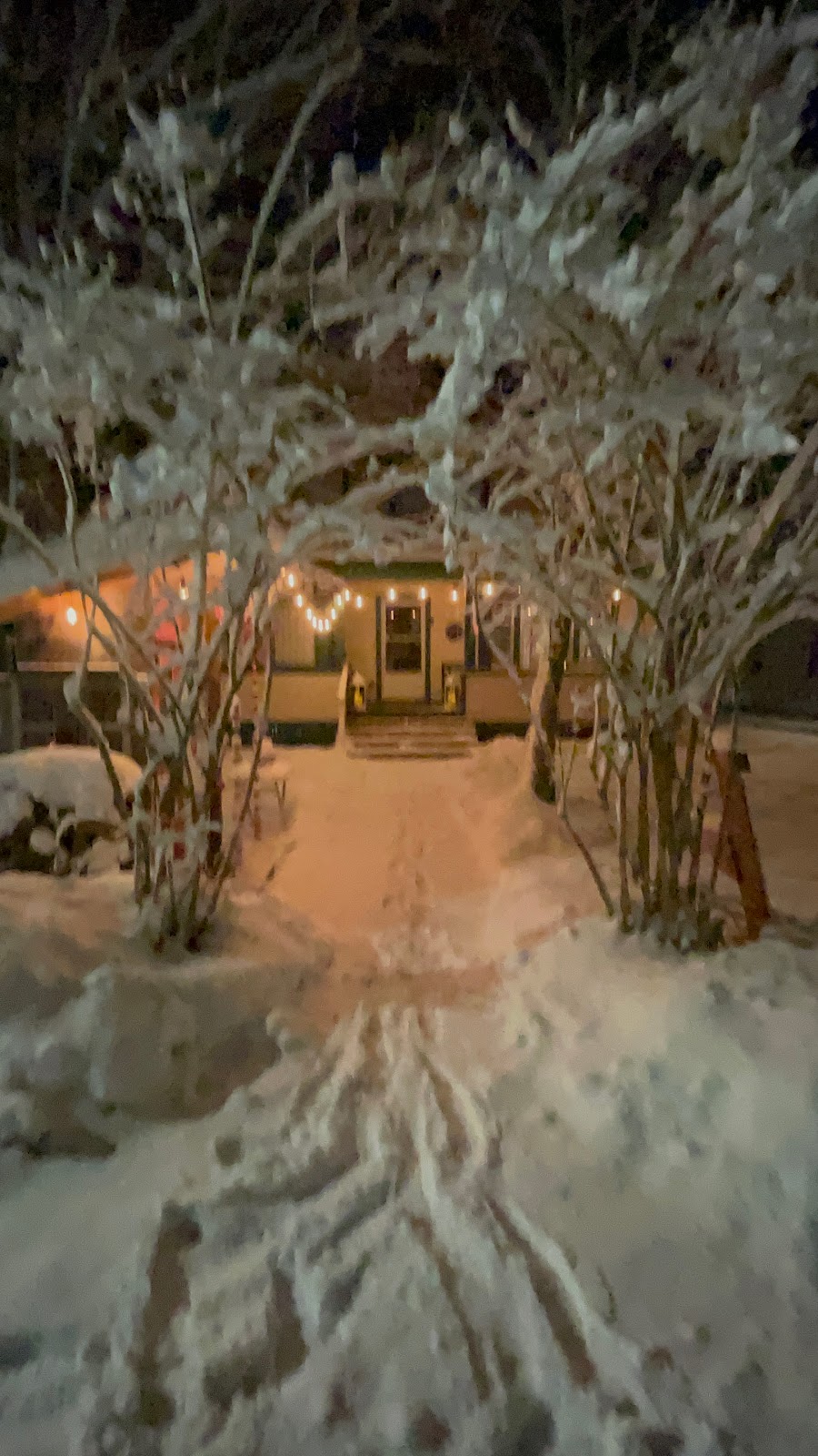 Cake by the Maples | 5175 Nova Scotia Trunk 10, New Germany, NS B0R 1E0, Canada | Phone: (902) 817-9038
