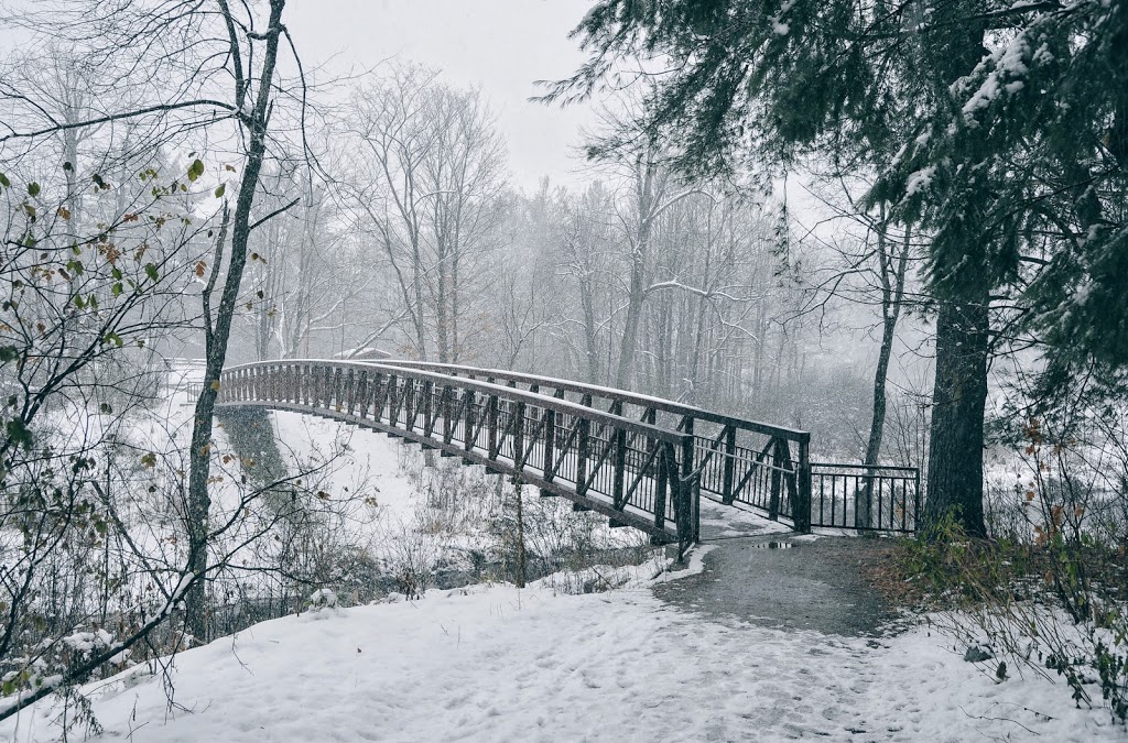 Gatineau Park Visitor Centre | 33 Chemin Scott, Chelsea, QC J9B 1R5, Canada | Phone: (819) 827-2020