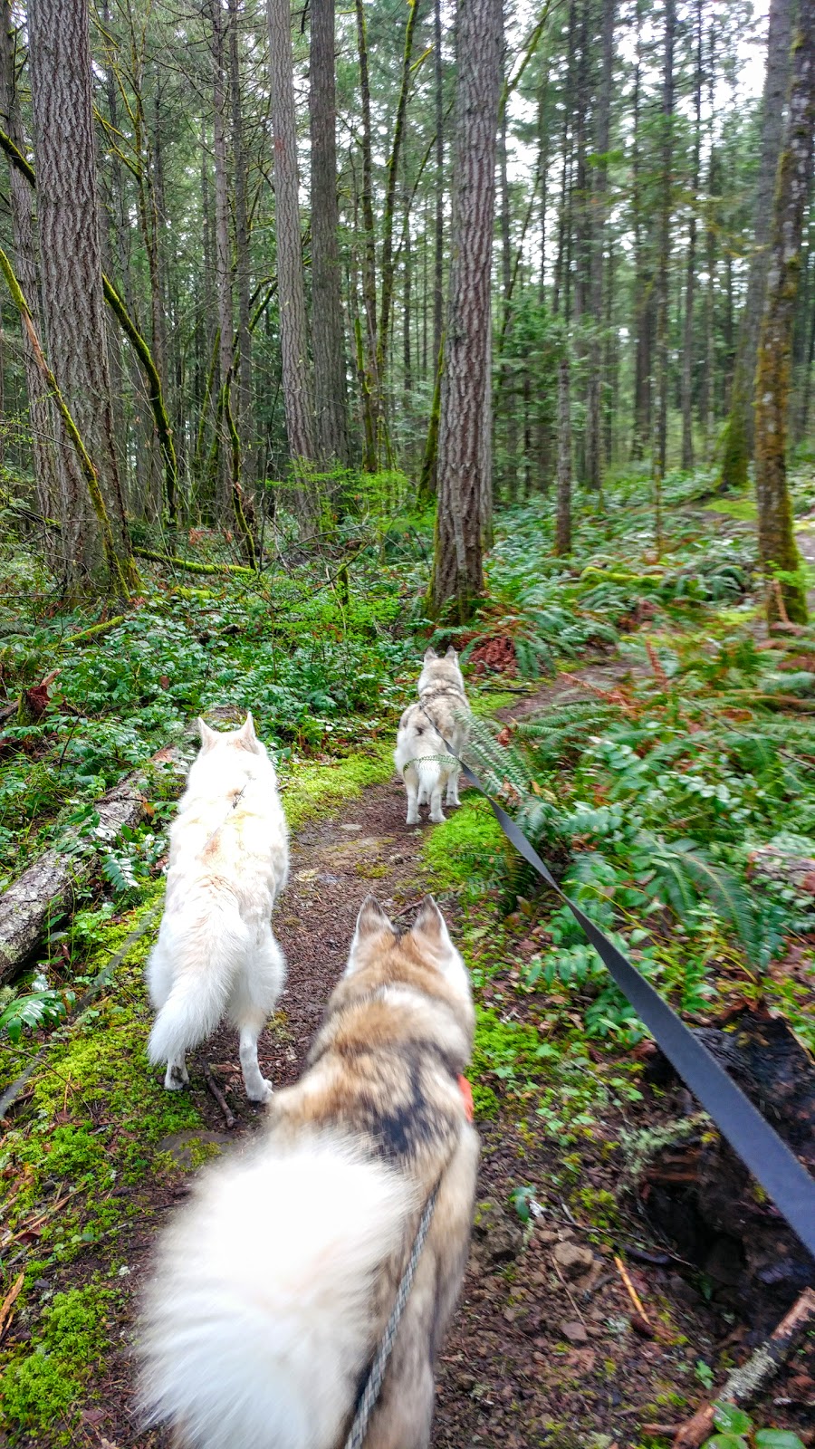 Yellow Point Park | Yellow Point Rd, Ladysmith, BC V9G 1G3, Canada | Phone: (250) 746-2620
