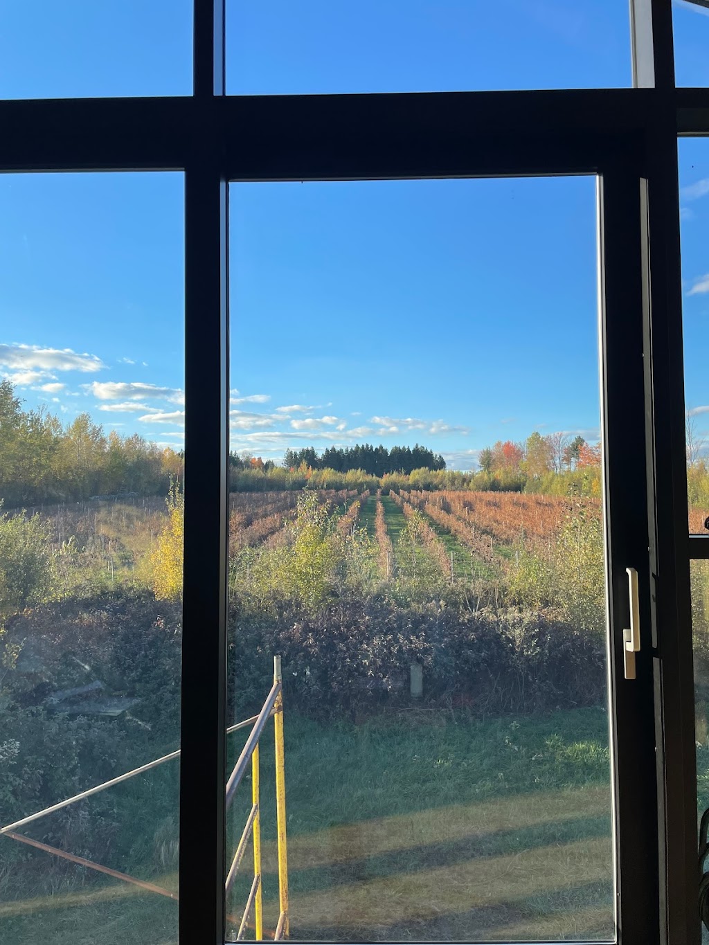 Le Vignoble ComAutrefois | 737 Rang St François, Notre-Dame-de-Lourdes, QC G0S 1T0, Canada | Phone: (819) 460-2696