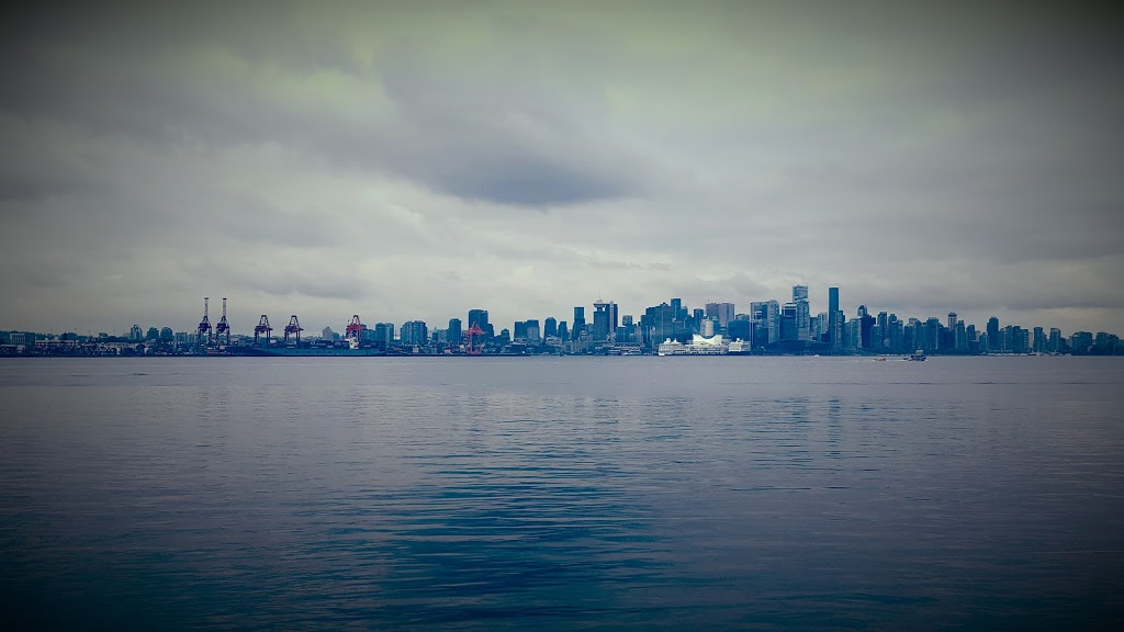 DogZen | Wellington Dr, North Vancouver, BC V7K 1L1, Canada | Phone: (604) 889-4041