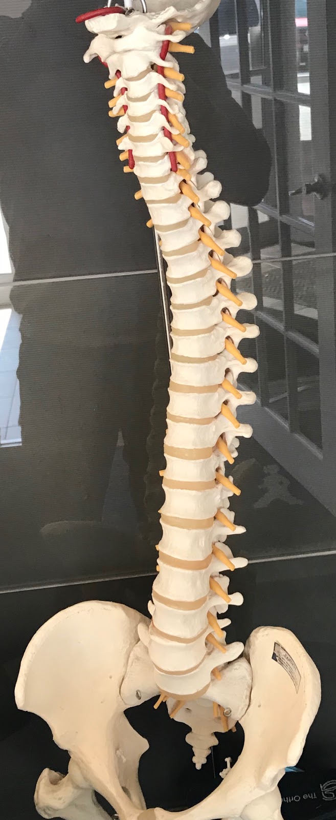Physiotherapy First | 511 Ray Lawson Blvd, Brampton, ON L6Y 0N2, Canada | Phone: (905) 796-6662