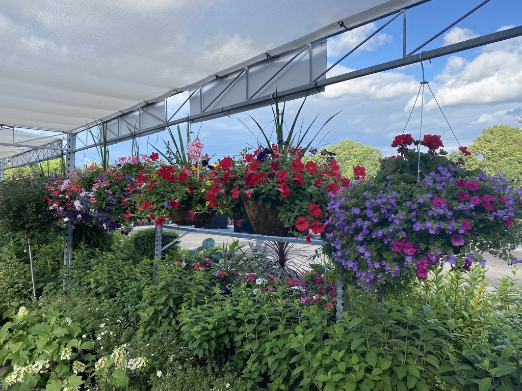 Bloom Green | 9478 Wellington Rd 124, Erin, ON N0B 1T0, Canada | Phone: (519) 833-9313