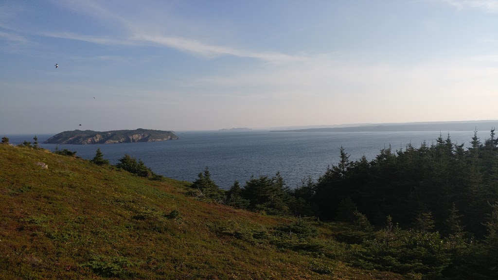 Mickellens Path | 53 Quays Rd, Goulds, NL A1S 1R3, Canada