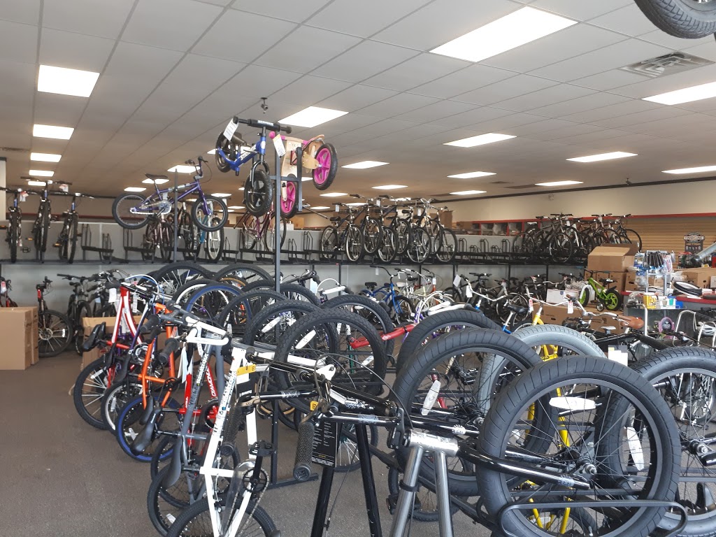 Niagara Cycle | 2749 Military Rd, Niagara Falls, NY 14304, USA | Phone: (716) 205-1125
