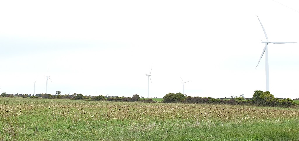 Blazing Saddles Farm | 433 County Rd 95, Wolfe Island, ON K0H 2Y0, Canada | Phone: (613) 572-5338