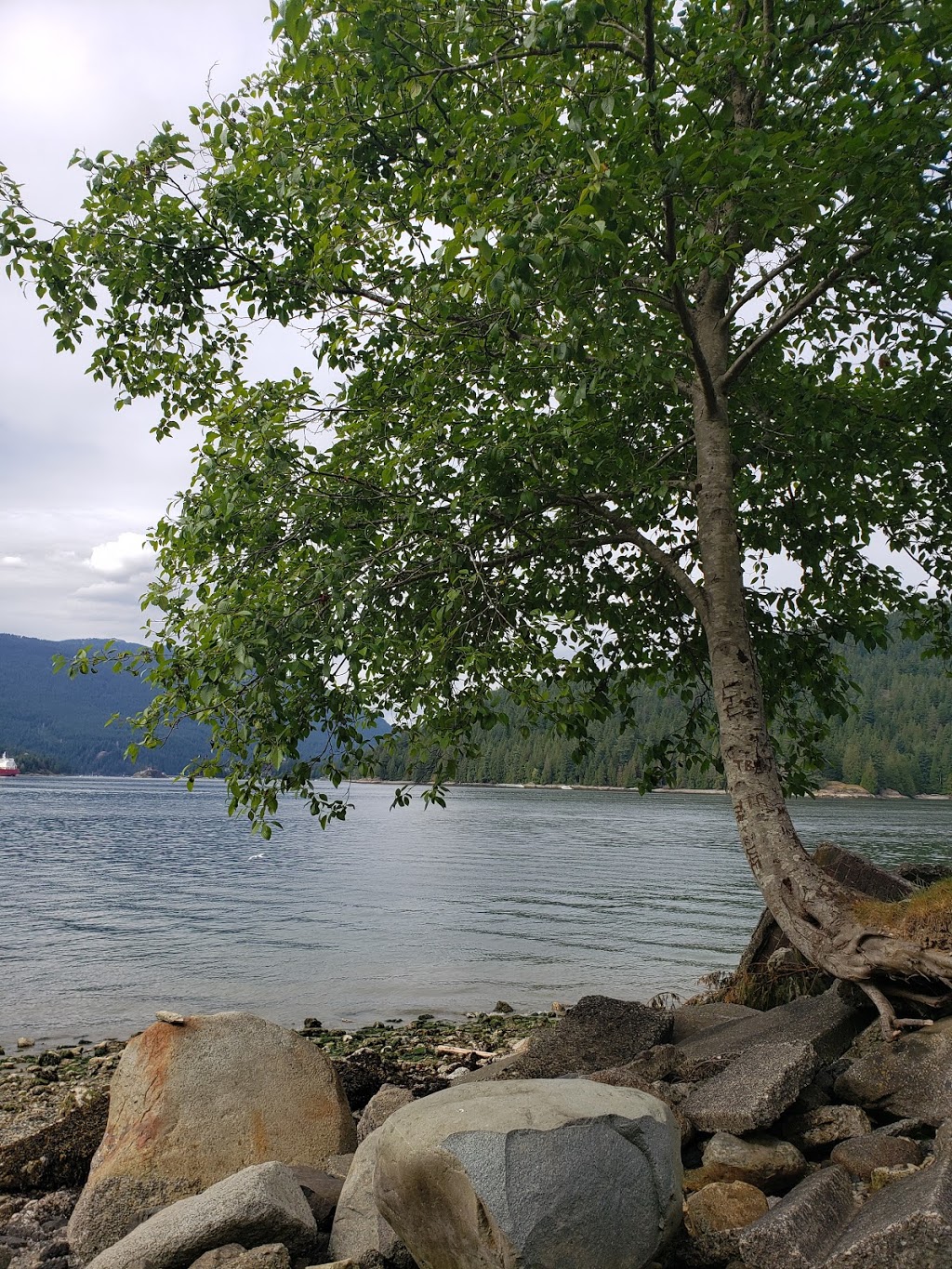 Drummonds Walk | 8007 Texaco Dr, Burnaby, BC V5A 4V2, Canada