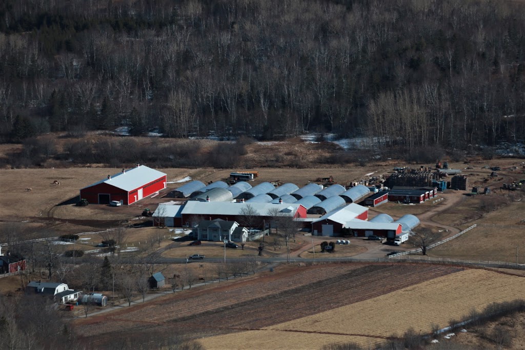 Randsland Farms Inc | 1050 Pereau Rd, Canning, NS B0P 1H0, Canada | Phone: (902) 582-7705