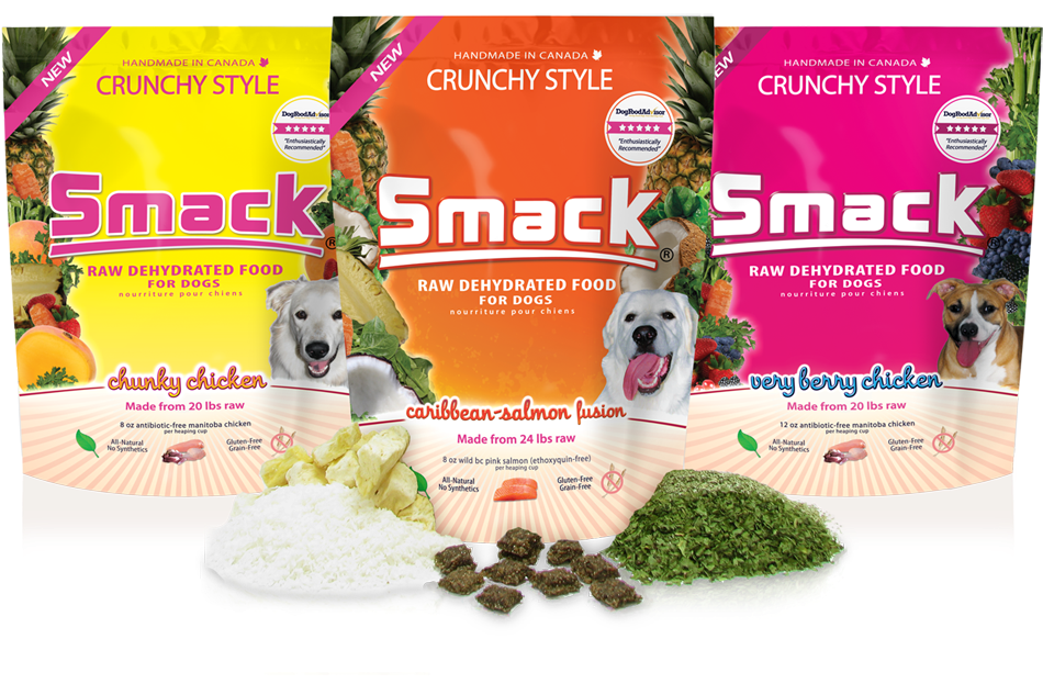 PAWS4Health | 51 Sarah Crescent, Dartmouth, NS B2W 4Z2, Canada | Phone: (902) 435-2528