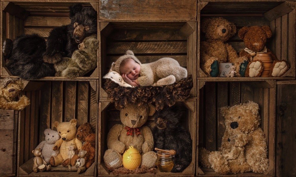 Little Fox Photography | 16 Grenoble Rd, Hamilton, ON L9C 6K6, Canada | Phone: (647) 447-2532