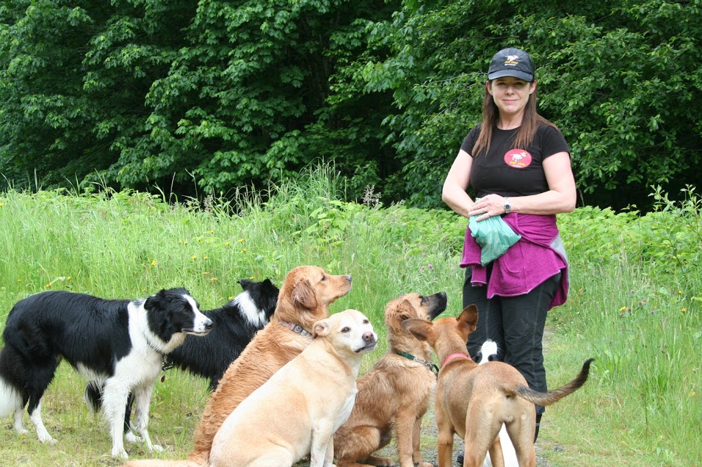 Ruff Stuff Dog Services | 1730 Vernon Dr, Vancouver, BC V6A 3T8, Canada | Phone: (604) 877-8075
