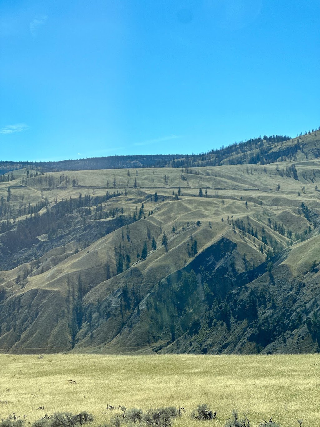 Canoe Creek Health Station | Canoe Creek 1, Thompson-Nicola E, BC V0L 1J0, Canada | Phone: (250) 459-7749