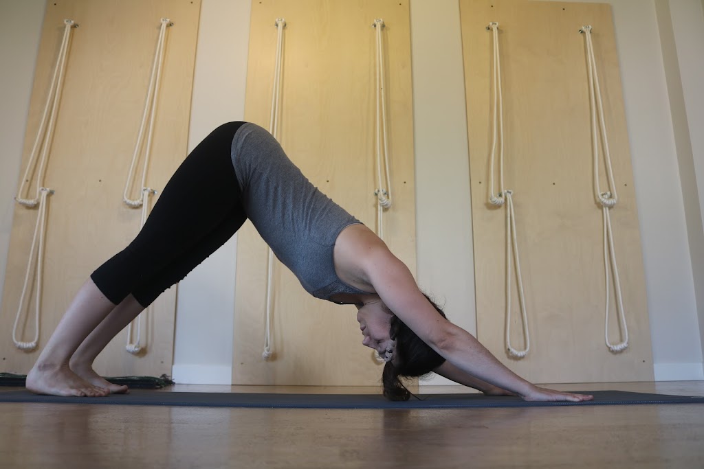 Abhaya Yoga | 1561 Rue des Rosiers, LAssomption, QC J5W 5W8, Canada | Phone: (514) 887-1812