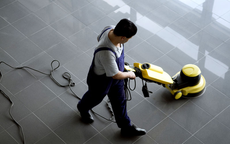 Lampo Cleaning Services | 2503 Hurontario St Unit # 355, Mississauga, ON L5A 2G7, Canada | Phone: (416) 832-6148