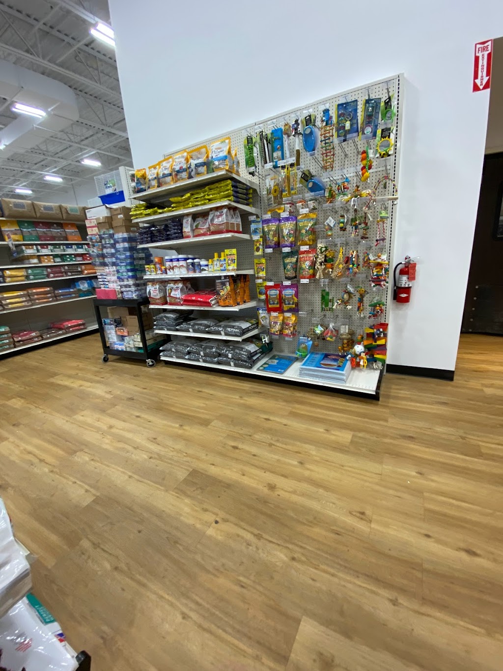 Rens Pets Stouffville | 1040 Hoover Park Dr, Gormley, ON L0H 1G0, Canada | Phone: (905) 209-6867