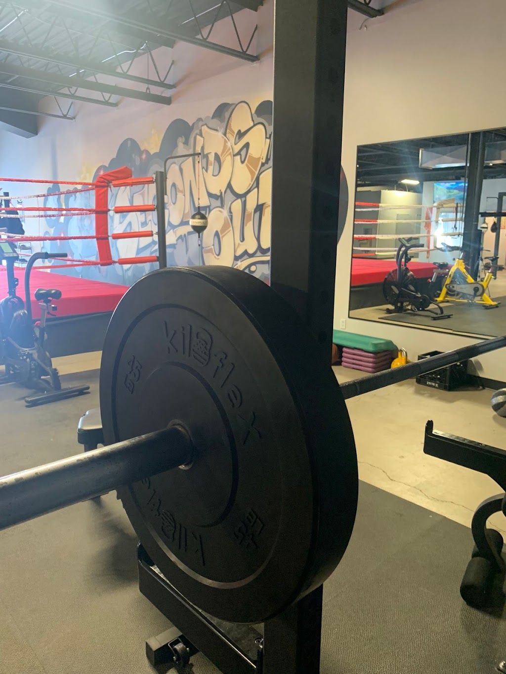 Seconds Out Boxing | 4287 Boul. Saint-Jean, Dollard-des-Ormeaux, QC H9G 2R4, Canada | Phone: (514) 708-5664